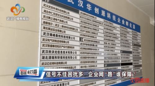 牛年第一考 公共服務(wù)是優(yōu)還是憂——聚焦通訊工程